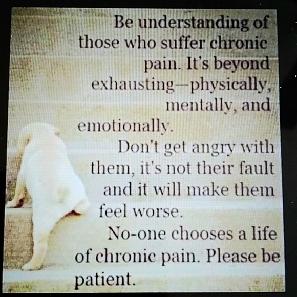 🍷 Diva on the Deck Storage Decor Box - Picture 15 of 16